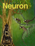 neuron-cover-guilhem-2016